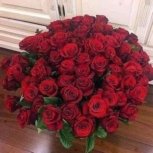 Meet your Posher, Daphney